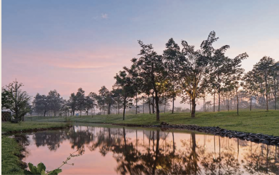 Botanic Villa E-Brochure-35